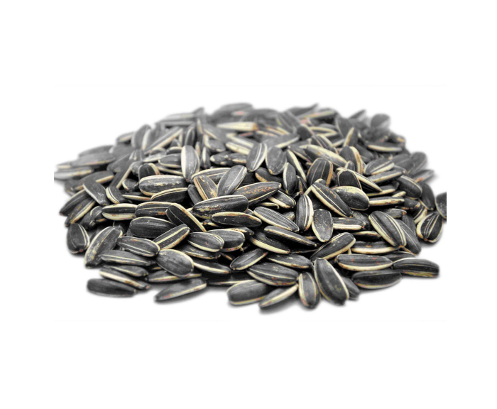 SUN FLOWER SEEDS