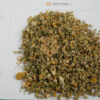 CHAMOMILE - Image 3
